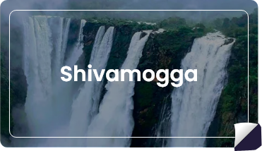 Shimogga Youth for Seva Chapter