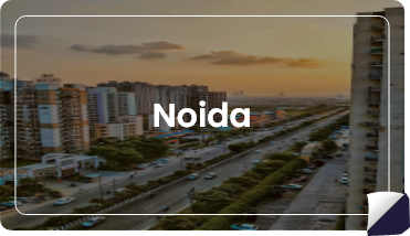 Noida Youth for Seva Chapter